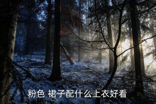 彩片裙子穿搭...